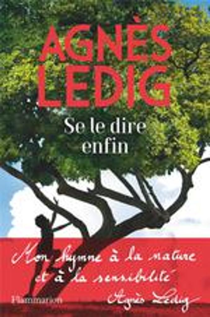 Se le dire enfin / Agnès Ledig | Ledig, Agnès (1972-....). Auteur
